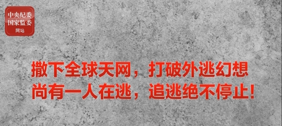 视频 | 四大关键词 带你看2021反腐败国际追逃追赃